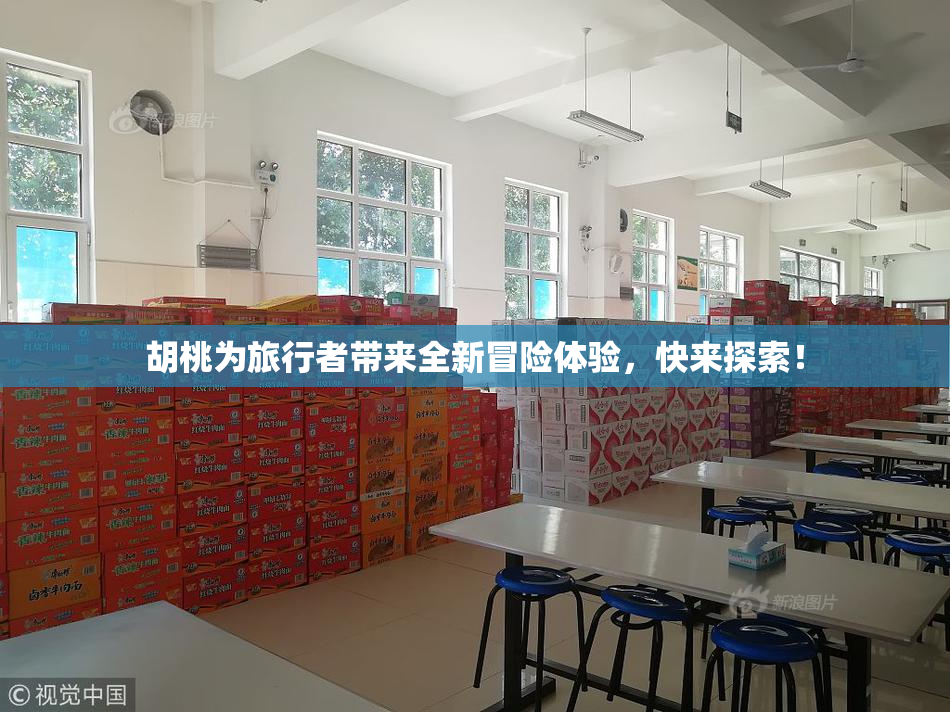胡桃为旅行者带来全新冒险体验，快来探索！