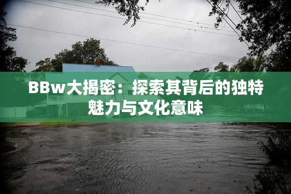 BBw大揭密：探索其背后的独特魅力与文化意味