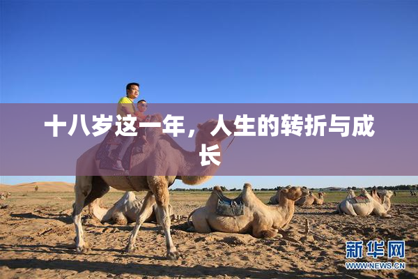 十八岁这一年，人生的转折与成长