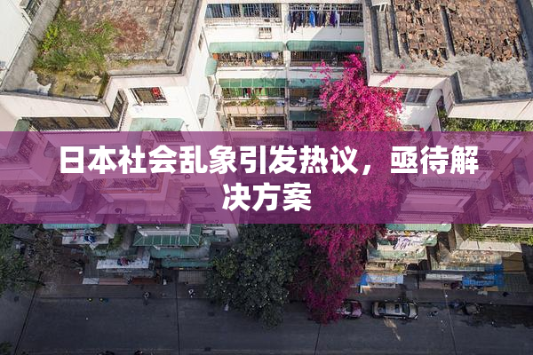 日本社会乱象引发热议，亟待解决方案