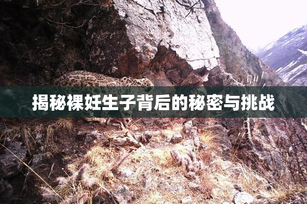 揭秘裸妊生子背后的秘密与挑战