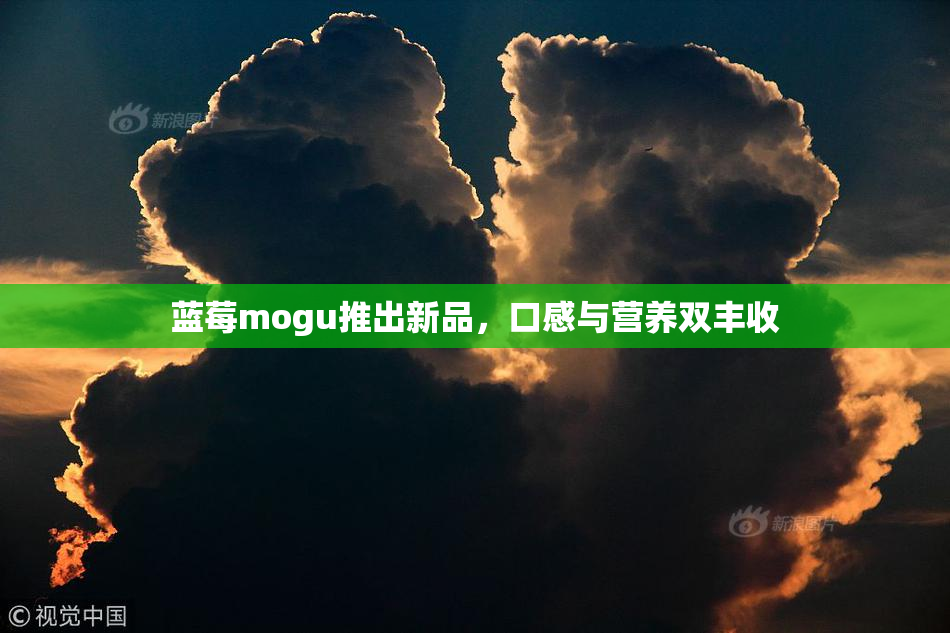 蓝莓mogu推出新品，口感与营养双丰收