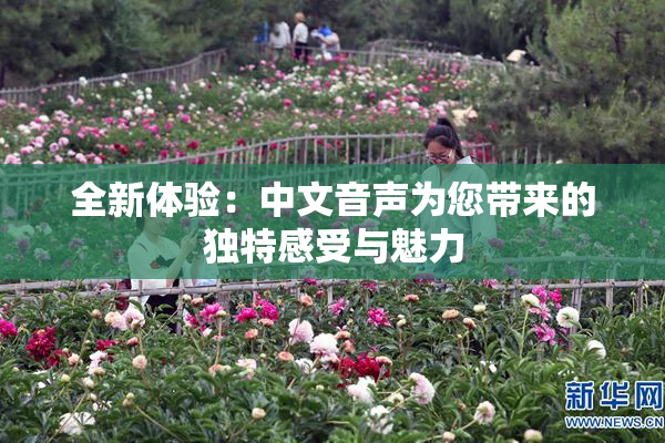 全新体验：中文音声为您带来的独特感受与魅力