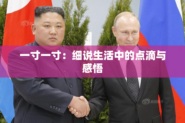 一寸一寸：细说生活中的点滴与感悟