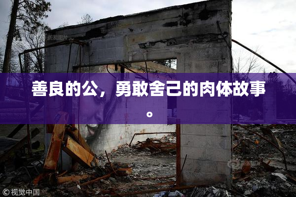 善良的公，勇敢舍己的肉体故事。