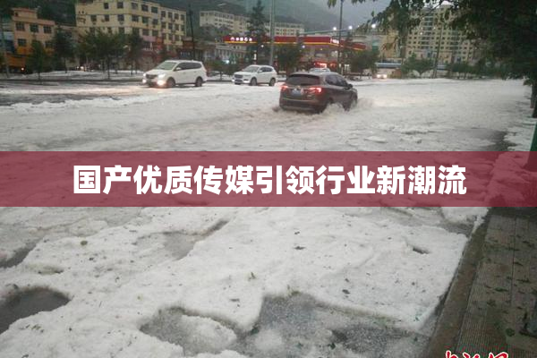 国产优质传媒引领行业新潮流