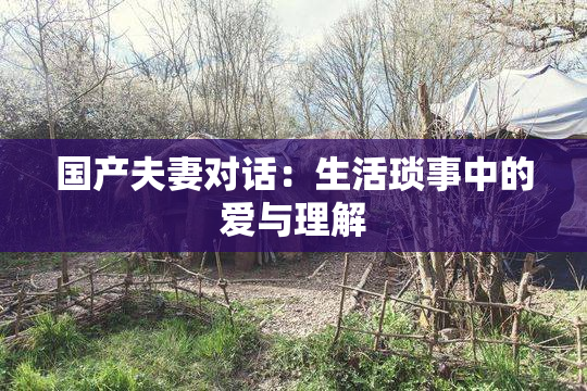 国产夫妻对话：生活琐事中的爱与理解