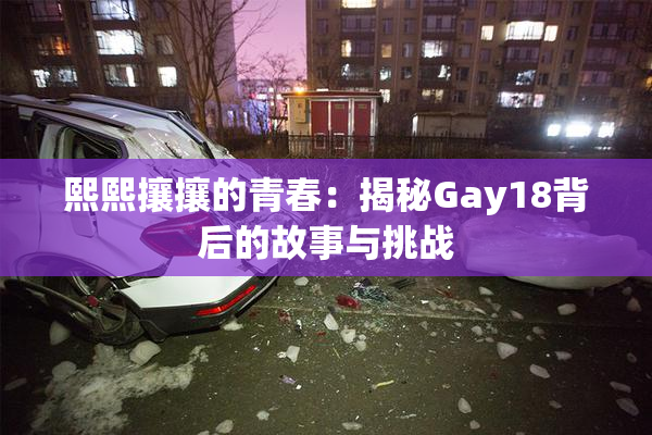 熙熙攘攘的青春：揭秘Gay18背后的故事与挑战