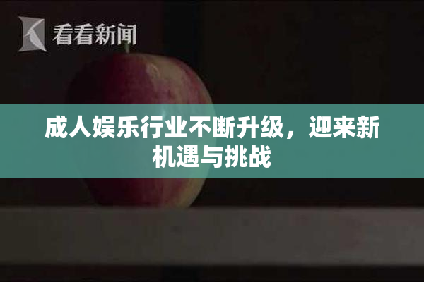成人娱乐行业不断升级，迎来新机遇与挑战