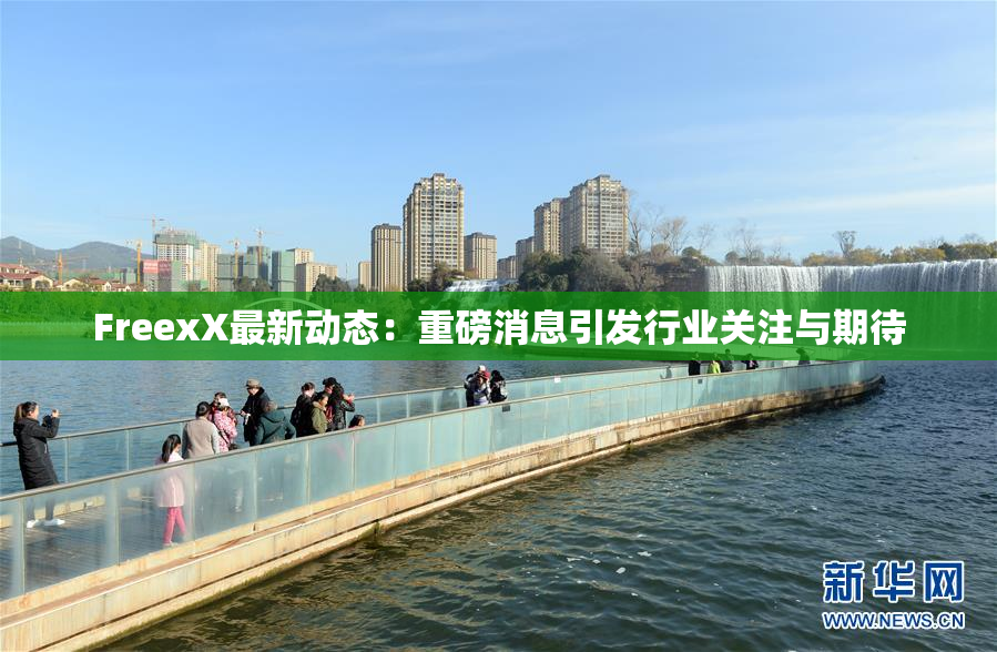 FreexX最新动态：重磅消息引发行业关注与期待