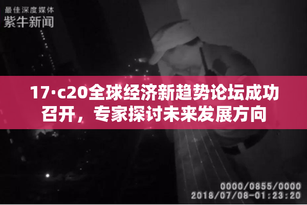 17·c20全球经济新趋势论坛成功召开，专家探讨未来发展方向