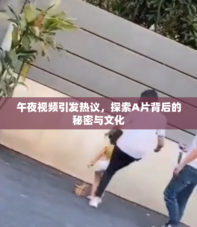 午夜视频引发热议，探索A片背后的秘密与文化
