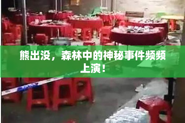 熊出没，森林中的神秘事件频频上演！