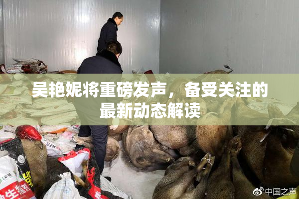 吴艳妮将重磅发声，备受关注的最新动态解读