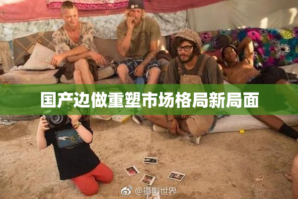 国产边做重塑市场格局新局面