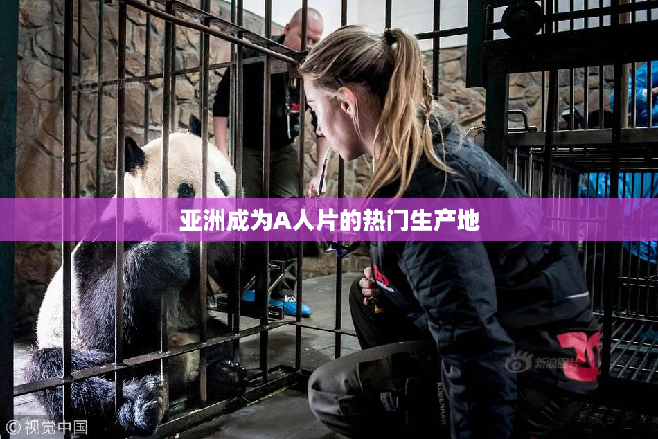 亚洲成为A人片的热门生产地