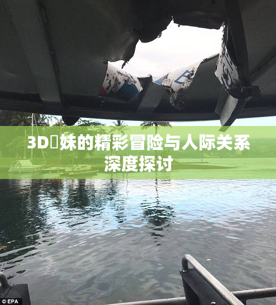 3D姉妹的精彩冒险与人际关系深度探讨