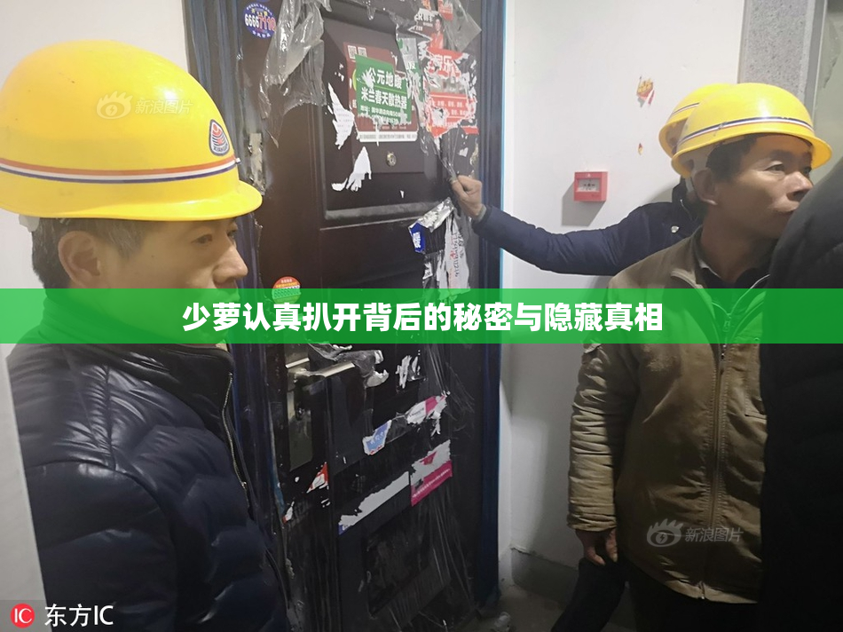 少萝认真扒开背后的秘密与隐藏真相