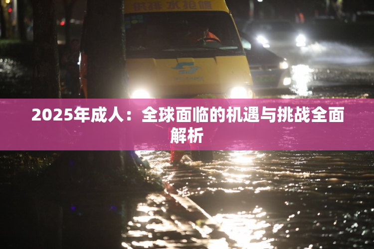 2025年成人：全球面临的机遇与挑战全面解析
