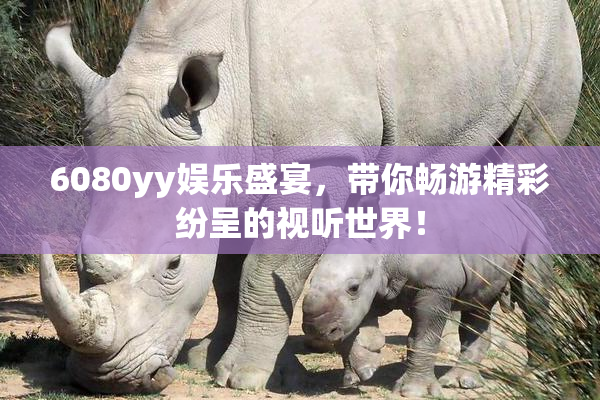 6080yy娱乐盛宴，带你畅游精彩纷呈的视听世界！