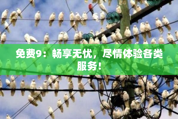 免费9：畅享无忧，尽情体验各类服务！