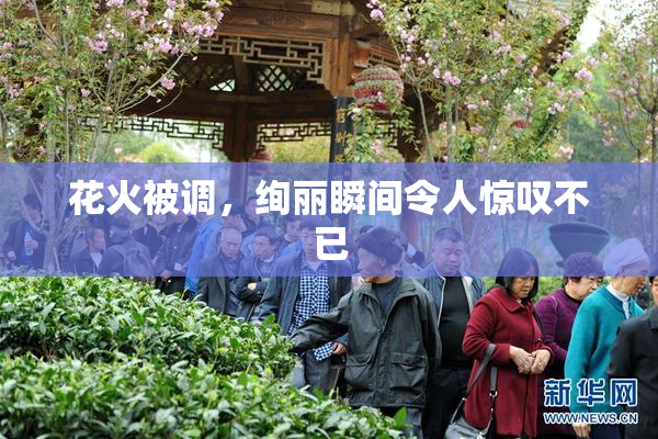 花火被调，绚丽瞬间令人惊叹不已