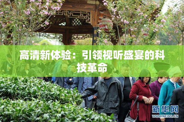 高清新体验：引领视听盛宴的科技革命