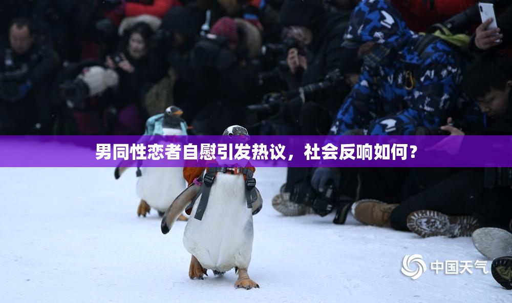 男同性恋者自慰引发热议，社会反响如何？