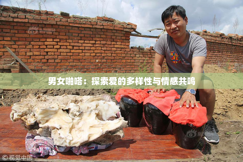 男女啪嗒：探索爱的多样性与情感共鸣