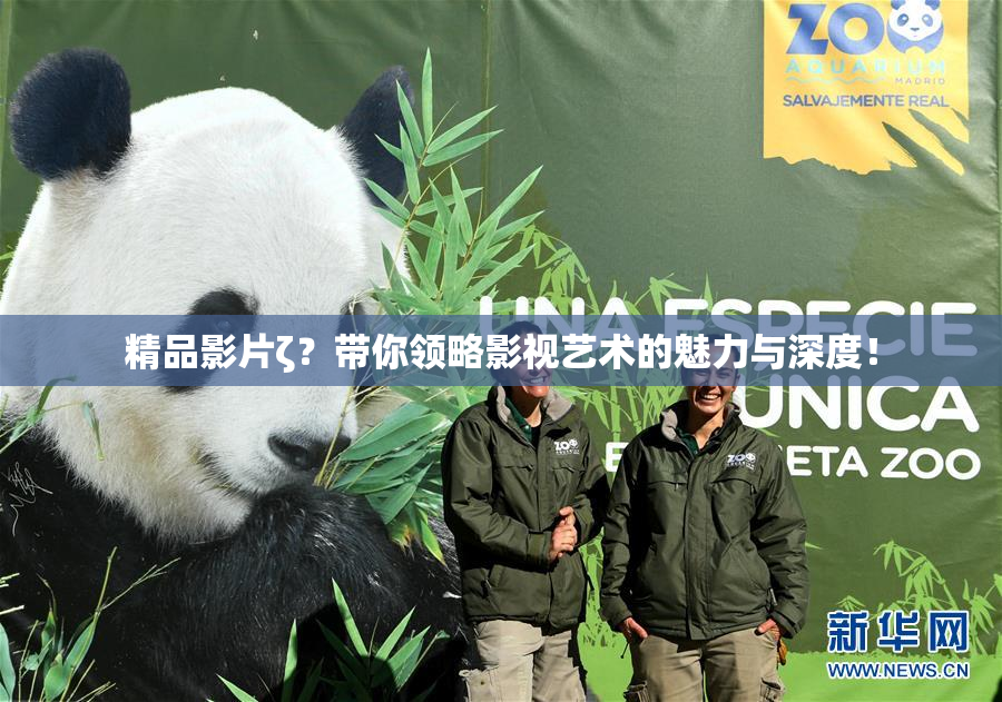 精品影片ζ？带你领略影视艺术的魅力与深度！