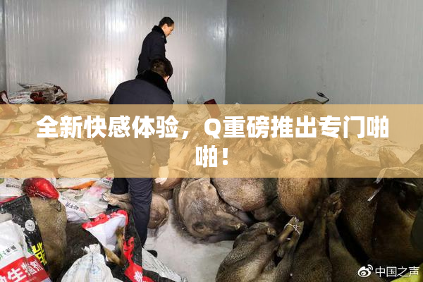 全新快感体验，Q重磅推出专门啪啪！