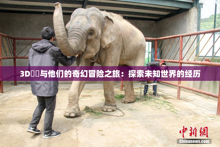 3D姉弚与他们的奇幻冒险之旅：探索未知世界的经历