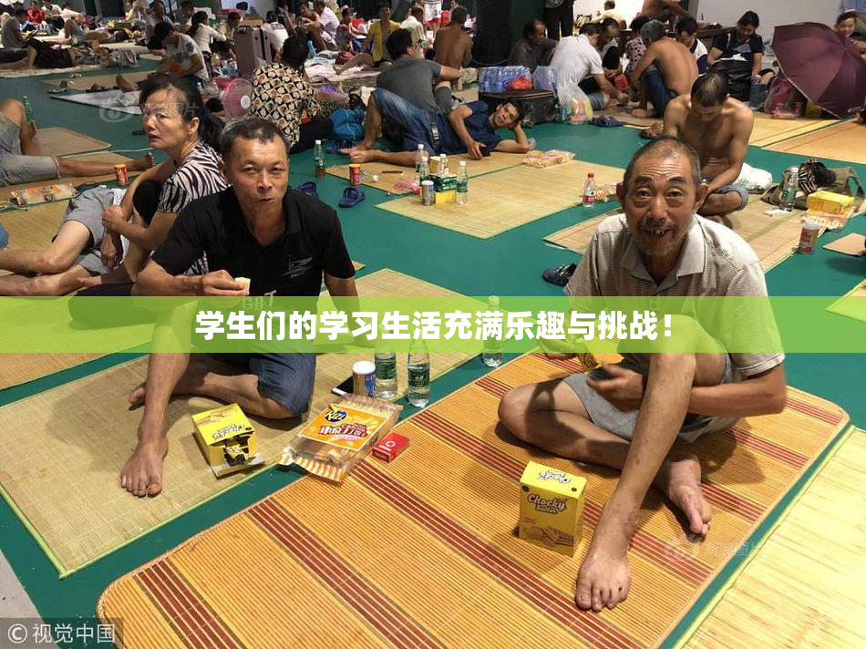 学生们的学习生活充满乐趣与挑战！