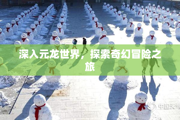 深入元龙世界，探索奇幻冒险之旅