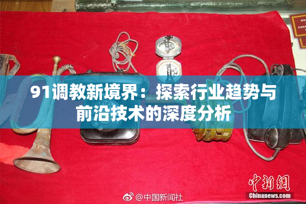 91调教新境界：探索行业趋势与前沿技术的深度分析