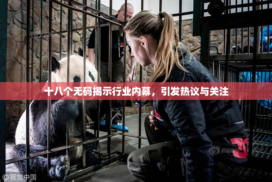 十八个无码揭示行业内幕，引发热议与关注
