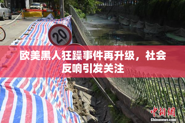 欧美黑人狂躁事件再升级，社会反响引发关注