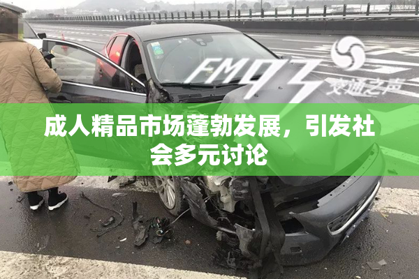 成人精品市场蓬勃发展，引发社会多元讨论