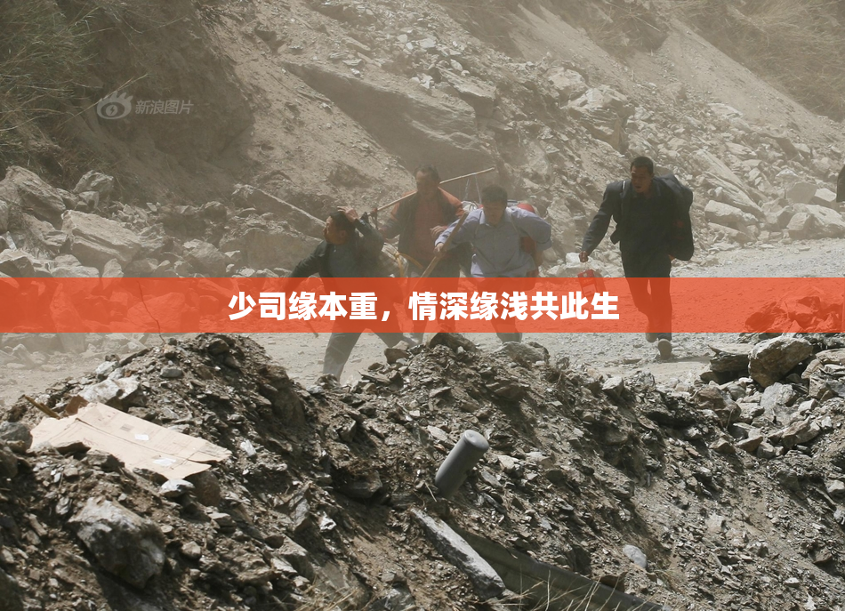 少司缘本重，情深缘浅共此生