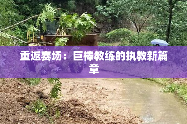 重返赛场：巨棒教练的执教新篇章