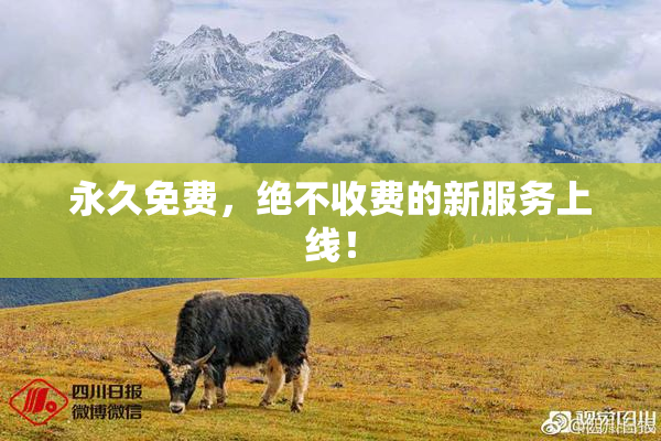永久免费，绝不收费的新服务上线！