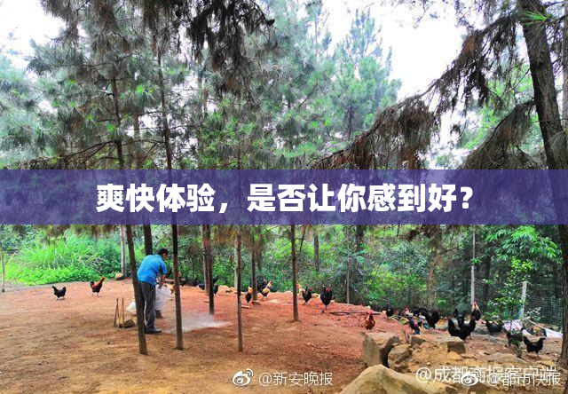 爽快体验，是否让你感到好？