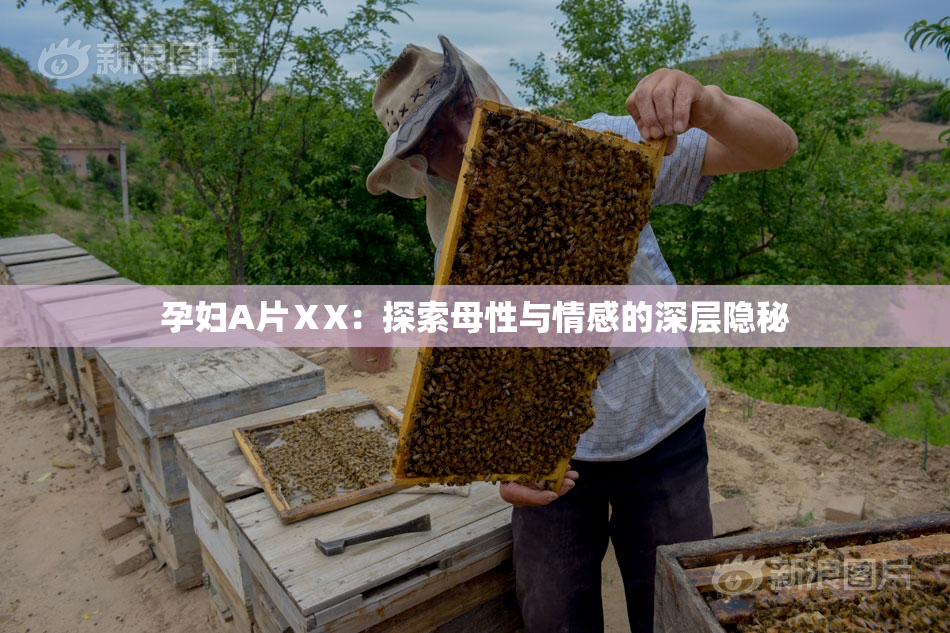 孕妇A片ⅩX：探索母性与情感的深层隐秘