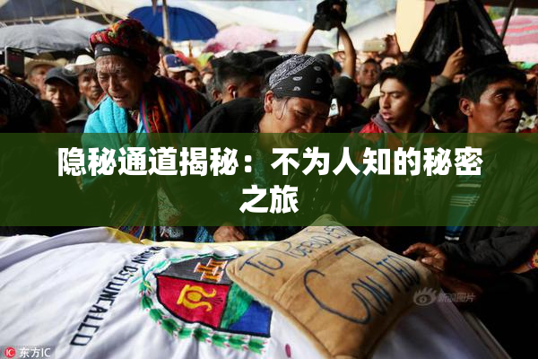 隐秘通道揭秘：不为人知的秘密之旅