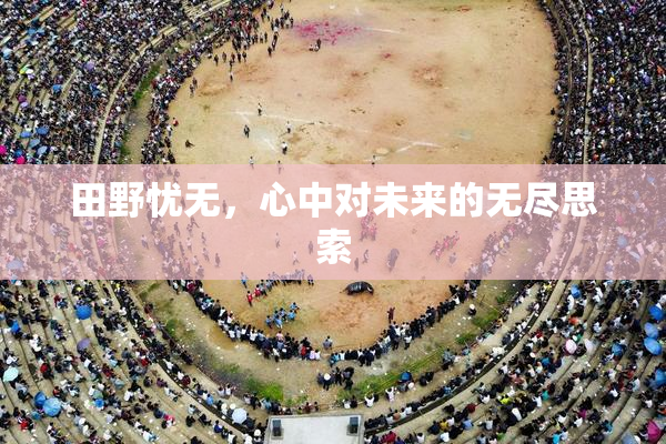 田野忧无，心中对未来的无尽思索