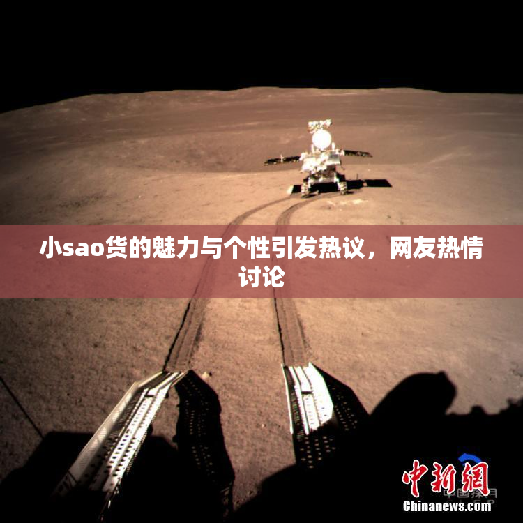 小sao货的魅力与个性引发热议，网友热情讨论