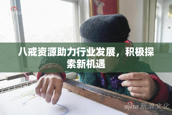 八戒资源助力行业发展，积极探索新机遇