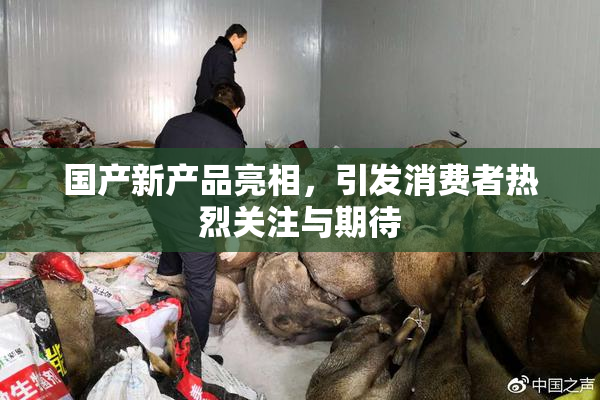 国产新产品亮相，引发消费者热烈关注与期待