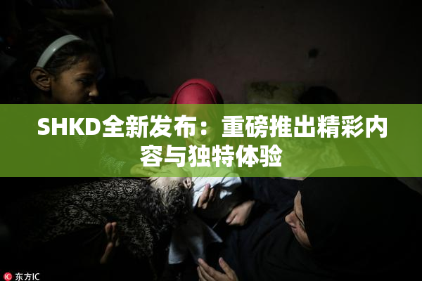 SHKD全新发布：重磅推出精彩内容与独特体验