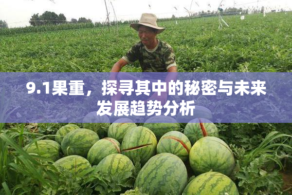 9.1果重，探寻其中的秘密与未来发展趋势分析